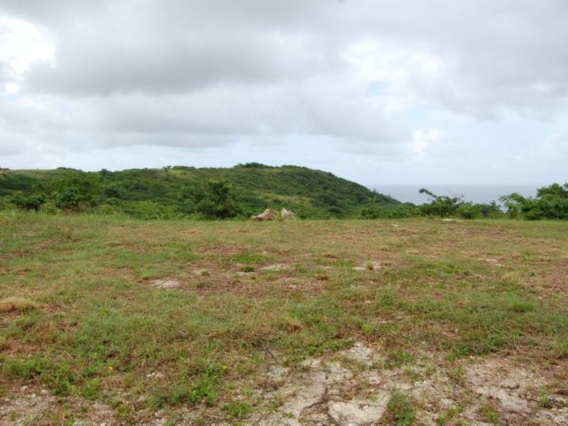 Land For Sale in Mount Pleasant Barbados